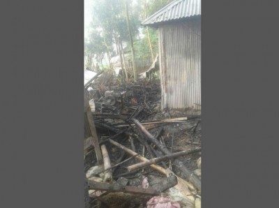 কাউনিয়ায় হারাগাছে অগ্নিকান্ডে ঘর পুড়ে ছাই, গরুর মৃত্যু