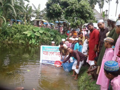 কাউনিয়ায় আল কোরআন একাডেমির পোনা মাছ অবমুক্ত