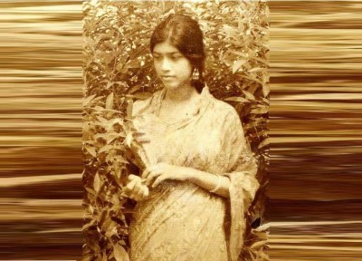 তিতুমীর কলেজ আমার অবহেলার বিদ্যাপীঠ তিতুমীর কলেজ আমার অবহেলার বিদ্যাপীঠ