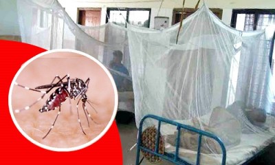 নতুন করে ৩২১ জন ডেঙ্গু রোগী হাসপাতালে নতুন করে ৩২১ জন ডেঙ্গু রোগী হাসপাতালে