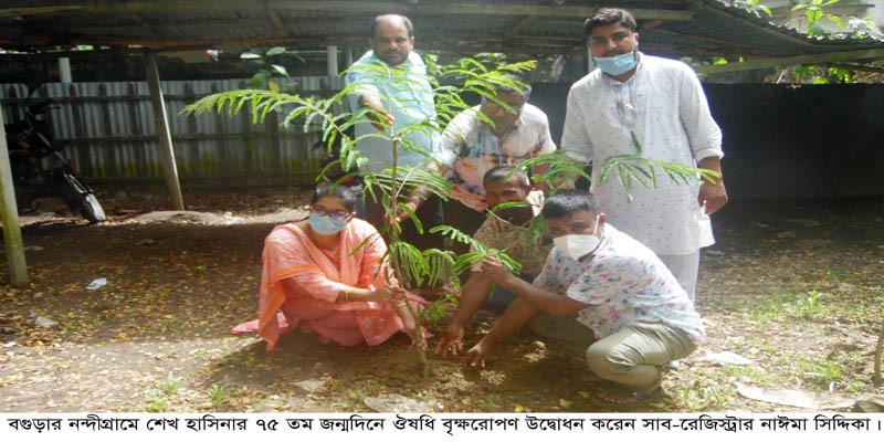 নন্দীগ্রামে শেখ হাসিনার জন্মদিনে বৃক্ষরোপণ নন্দীগ্রামে শেখ হাসিনার জন্মদিনে বৃক্ষরোপণ