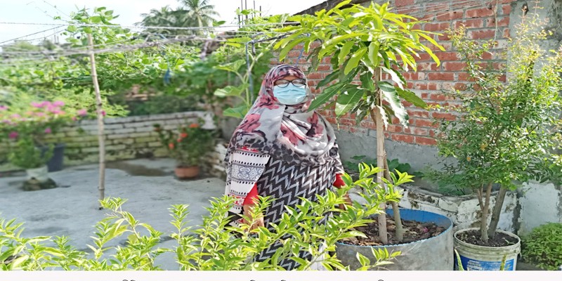 শিক্ষকতার পাশাপাশি ছাদ বাগান করে প্রশংসা কুড়িয়েছে রুবী শিক্ষকতার পাশাপাশি ছাদ বাগান করে প্রশংসা কুড়িয়েছে রুবী