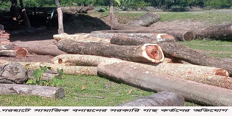 বাগেরহাটে বন বিভাগের তদারকির অভাবে সামাজিক বনায়নের সরকারি গাছ উজাড় বাগেরহাটে বন বিভাগের তদারকির অভাবে সামাজিক বনায়নের সরকারি গাছ উজাড়
