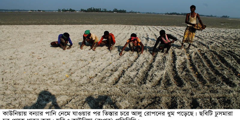কাউনিয়ায় আলু রোপনে ব্যস্ত সময় পার করছে চাষীরা কাউনিয়ায় আলু রোপনে ব্যস্ত সময় পার করছে চাষীরা
