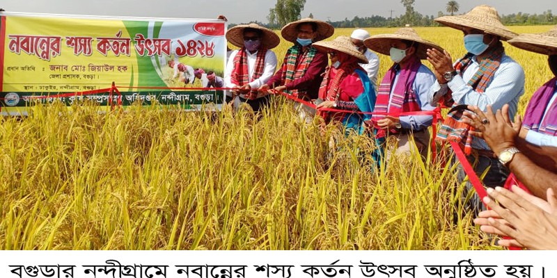 নন্দীগ্রামে নবান্নের শস্য কর্তন উৎসব অনুষ্ঠিত নন্দীগ্রামে নবান্নের শস্য কর্তন উৎসব অনুষ্ঠিত