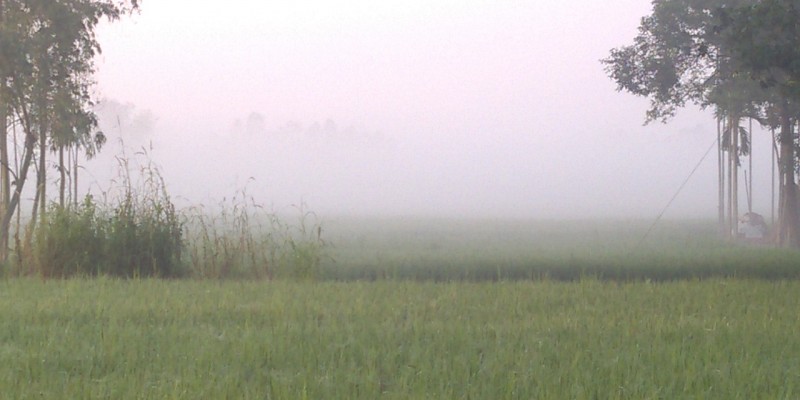 শীতের প্রভাতে শীতের প্রভাতে
