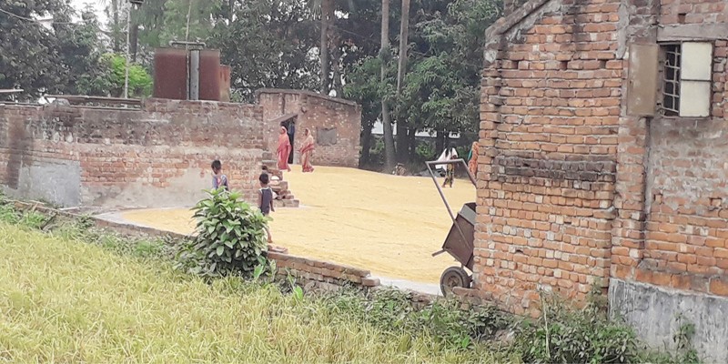 আদমদীঘিতে বাসাবাড়ীর পাশে অবৈধ চালকল-চাতাল মিল \ পরিবেশ বিষাক্ত আদমদীঘিতে বাসাবাড়ীর পাশে অবৈধ চালকল-চাতাল মিল \ পরিবেশ বিষাক্ত