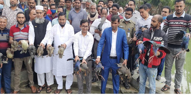 মোল্লাহাটে উপজেলা প্রশাসনের উদ্যোগে নতুন জীবন পেল ৭০ অতিথি পাখি মোল্লাহাটে উপজেলা প্রশাসনের উদ্যোগে নতুন জীবন পেল ৭০ অতিথি পাখি