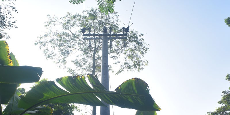 সিরাজদিখানে বৈদ্যুতিক ট্রান্সফরমার চুরি সিরাজদিখানে বৈদ্যুতিক ট্রান্সফরমার চুরি