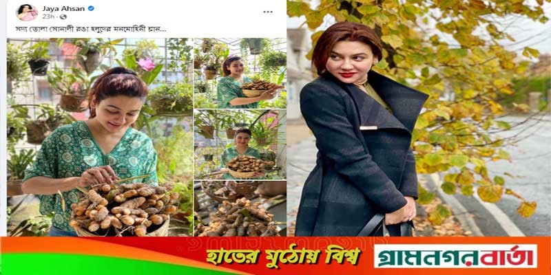 নিজের ছাদবাগানে ঝুড়িভর্তি হলুদ হাতে ভক্তদের চমকে দিলেন অভিনেত্রী নিজের ছাদবাগানে ঝুড়িভর্তি হলুদ হাতে ভক্তদের চমকে দিলেন অভিনেত্রী