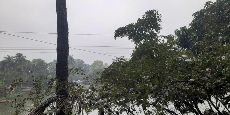 ঘূর্ণিঝড় ‘জাওয়াদ’-এর প্রভাবে উপকুল জুড়ে গুমোট আবহাওয়া, গুঁড়ি গুঁড়ি বৃষ্টি অব্যাহত ঘূর্ণিঝড় ‘জাওয়াদ’-এর প্রভাবে উপকুল জুড়ে গুমোট আবহাওয়া, গুঁড়ি গুঁড়ি বৃষ্টি অব্যাহত