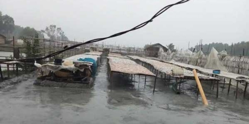 জাওয়াদের প্রভাবে আজও রাজধানীসহ সারাদেশে গুঁড়িগুঁড়ি বৃষ্টি জাওয়াদের প্রভাবে আজও রাজধানীসহ সারাদেশে গুঁড়িগুঁড়ি বৃষ্টি