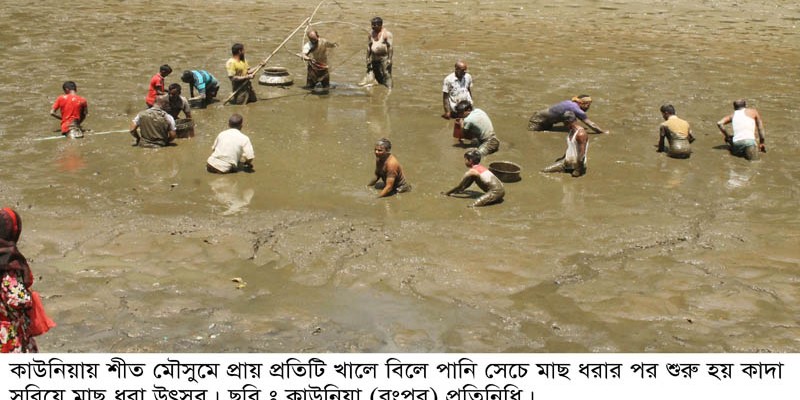 কাউনিয়ায় কাদা সরিয়ে মাছ ধরা উৎসব......! কাউনিয়ায় কাদা সরিয়ে মাছ ধরা উৎসব......!
