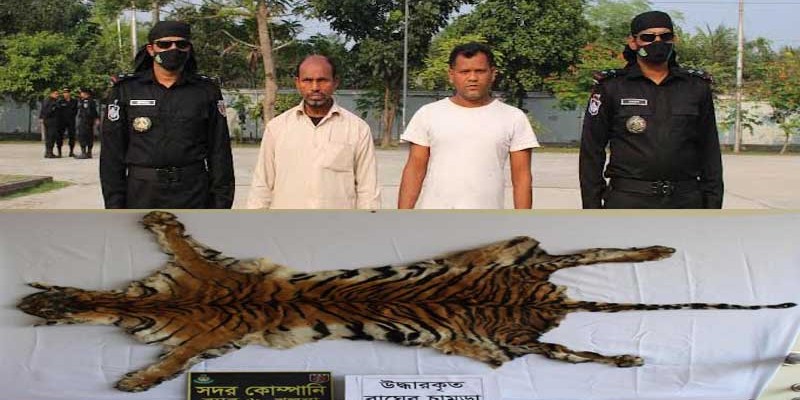 বাগেরহাটে বাঘের চামড়াসহ দুই পাচারকারী আটক বাগেরহাটে বাঘের চামড়াসহ দুই পাচারকারী আটক