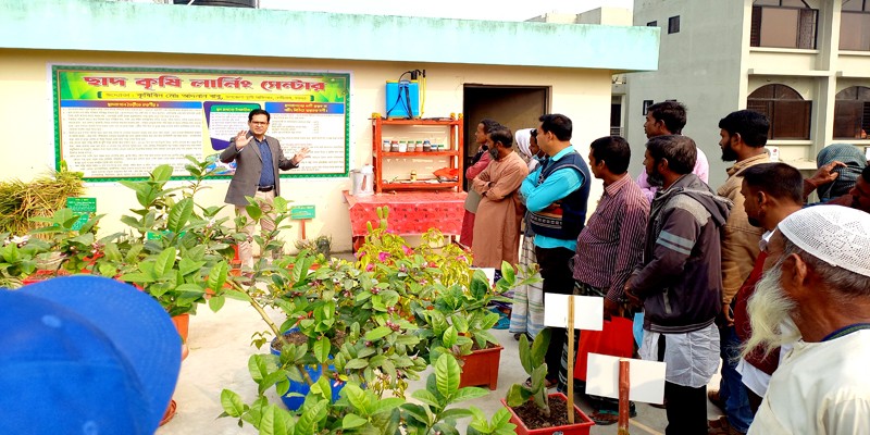 নন্দীগ্রামে দৃষ্টিনন্দন ছাদ কৃষি লার্নিং সেন্টার নন্দীগ্রামে দৃষ্টিনন্দন ছাদ কৃষি লার্নিং সেন্টার