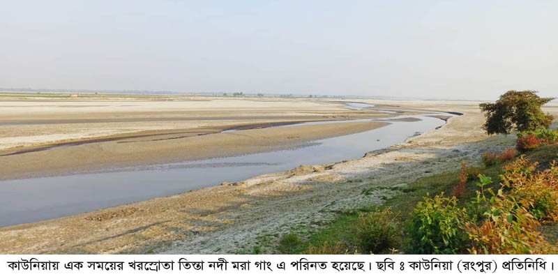 কাউনিয়ায় এক সময়ের খরস্রোতা তিস্তা নদী এখন মরা গাং কাউনিয়ায় এক সময়ের খরস্রোতা তিস্তা নদী এখন মরা গাং