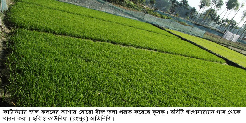 ভাল ফলনের আশায় বোরো বীজ তলা প্রস্তুত করেছে কৃষক ভাল ফলনের আশায় বোরো বীজ তলা প্রস্তুত করেছে কৃষক