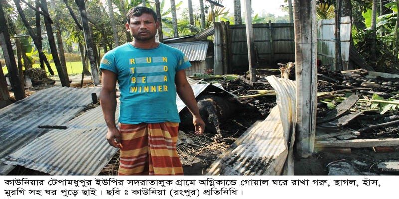 টেপামধুপুরে অগ্নি কান্ডে গবাদিপশু ও ঘর পুড়ে ছাই টেপামধুপুরে অগ্নি কান্ডে গবাদিপশু ও ঘর পুড়ে ছাই