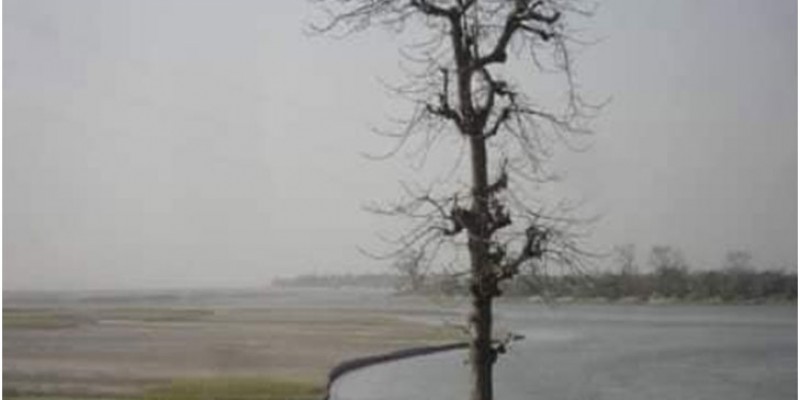 ঝরা পাতার পুঁথি ঝরা পাতার পুঁথি