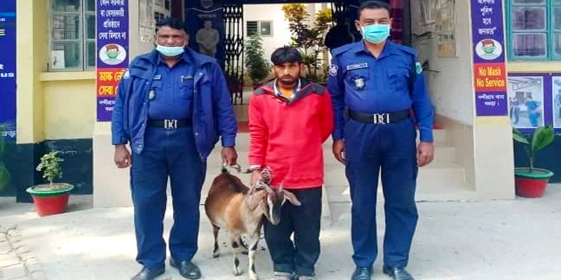ছাগলসহ চোর গ্রেপ্তার ছাগলসহ চোর গ্রেপ্তার