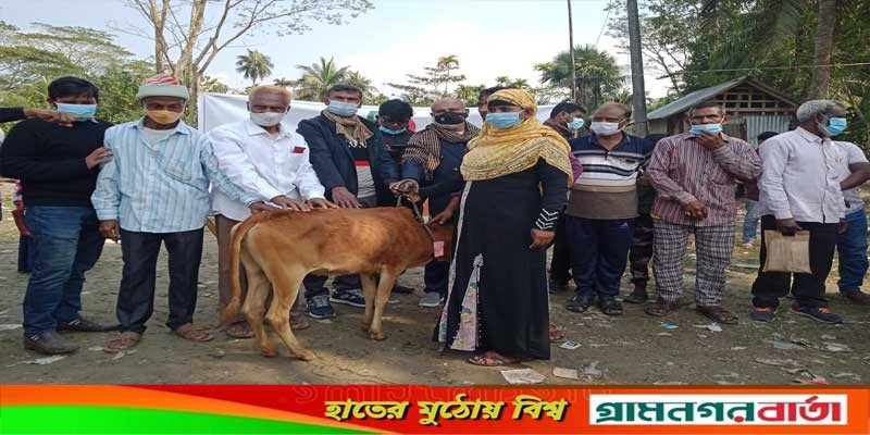হতদরিদ্রদের মাঝে গবাদি পশু বিতরণ হতদরিদ্রদের মাঝে গবাদি পশু বিতরণ