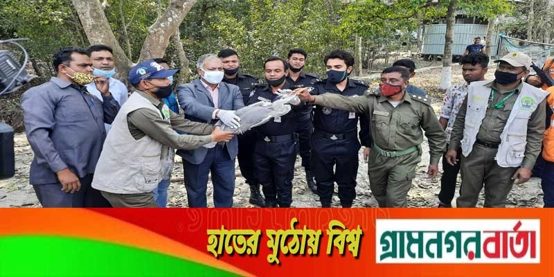 সুন্দরবনে ঠিকানা হলো ১০ প্রজাতির ২৬ বণ্যপ্রাণীর সুন্দরবনে ঠিকানা হলো ১০ প্রজাতির ২৬ বণ্যপ্রাণীর
