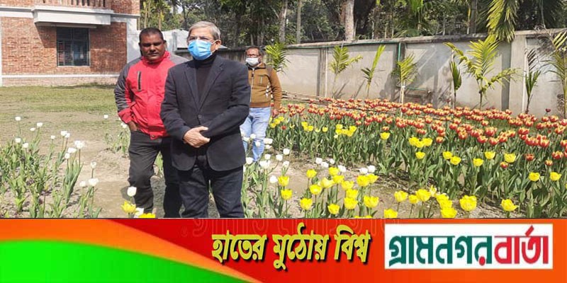 টিউলিপ বাগান স্বপরিবারে পরিদর্শন করলেন মির্জা ফখরুল টিউলিপ বাগান স্বপরিবারে পরিদর্শন করলেন মির্জা ফখরুল