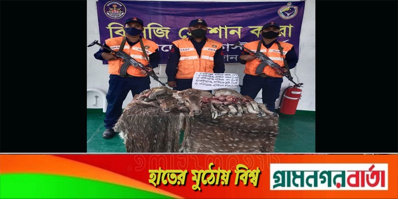 সুন্দরবনের দুটি হরিণের অঙ্গপ্রতঙ্গসহ মাংস উদ্ধার সুন্দরবনের দুটি হরিণের অঙ্গপ্রতঙ্গসহ মাংস উদ্ধার
