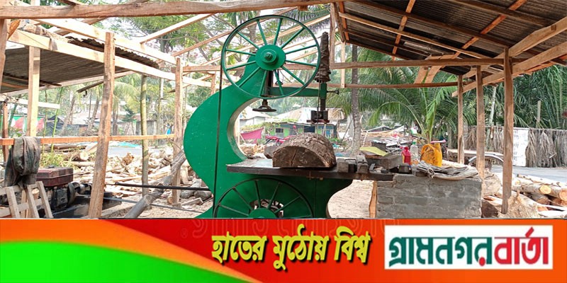 প্রশাসনকে বৃদ্ধাঙ্গুলি দেখিয়ে প্রভাবশালীরা চালাচ্ছে অবৈধ করাত কল প্রশাসনকে বৃদ্ধাঙ্গুলি দেখিয়ে প্রভাবশালীরা চালাচ্ছে অবৈধ করাত কল
