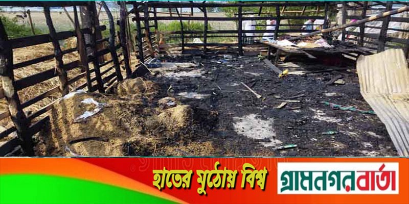 মাদকসেবীদের আগুনে পুড়ল কৃষকের বসতঘর ! মাদকসেবীদের আগুনে পুড়ল কৃষকের বসতঘর !