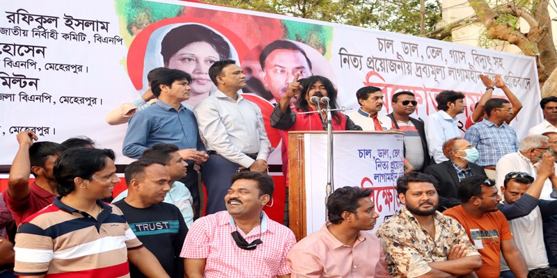 মেহেরপুরে বিএনপির বিক্ষোভ সমাবেশ