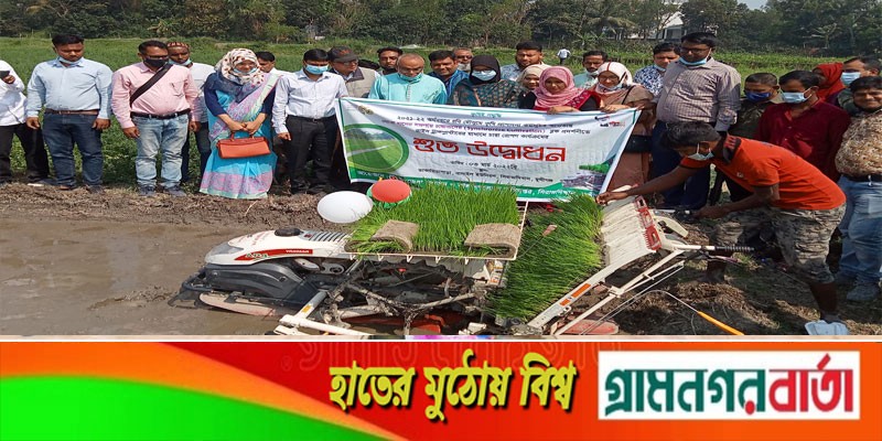 সিরাজদিখানে রাইস ট্রান্সপ্লান্টারের মাধ্যমে ধানের চারা রোপণ সিরাজদিখানে রাইস ট্রান্সপ্লান্টারের মাধ্যমে ধানের চারা রোপণ
