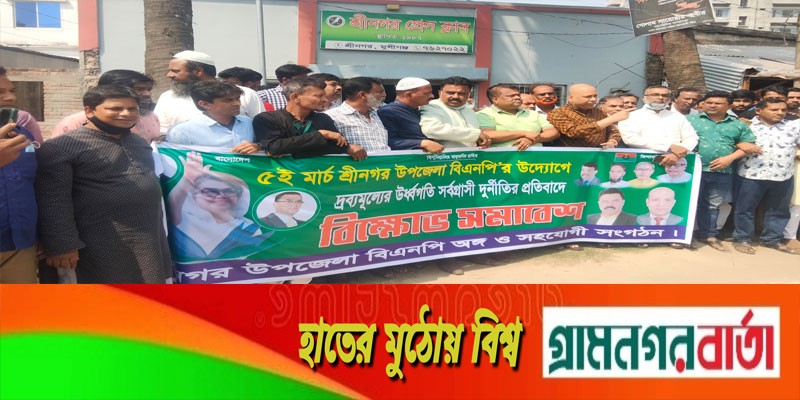 শ্রীনগর উপজেলা বিএনপি’র বিক্ষোভ সমাবেশ শ্রীনগর উপজেলা বিএনপি’র বিক্ষোভ সমাবেশ