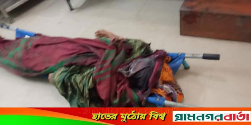 শিবগঞ্জে নারী খুন শিবগঞ্জে নারী খুন