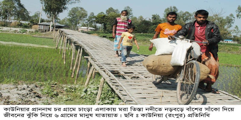 কাউনিয়ায় বাঁশের সাঁকোই ৬ গ্রামের মানুষের যাতায়াতের একমাত্র ভরসা কাউনিয়ায় বাঁশের সাঁকোই ৬ গ্রামের মানুষের যাতায়াতের একমাত্র ভরসা
