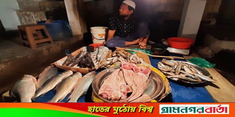 শিকার নিষিদ্ধ শাপলা পাতা মাছে সয়লাব মোংলার বাজার শিকার নিষিদ্ধ শাপলা পাতা মাছে সয়লাব মোংলার বাজার