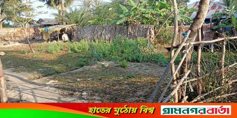 মুক্তিযোদ্ধার কবরের জায়গা ও জমি দখলের অভিযোগ মুক্তিযোদ্ধার কবরের জায়গা ও জমি দখলের অভিযোগ