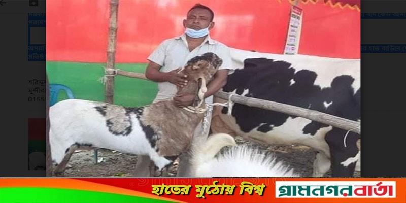 শ্রীনগরে ছাগল পালনে স্বপ্নপূরনের দ্বারপ্রান্তে সৈয়দ নাসির শ্রীনগরে ছাগল পালনে স্বপ্নপূরনের দ্বারপ্রান্তে সৈয়দ নাসির