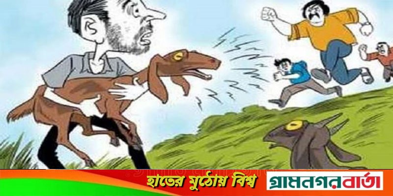 কাউনিয়ায় দুই ভাইয়ের ৩ গরু ৩ ছাগল চুরি! কাউনিয়ায় দুই ভাইয়ের ৩ গরু ৩ ছাগল চুরি!