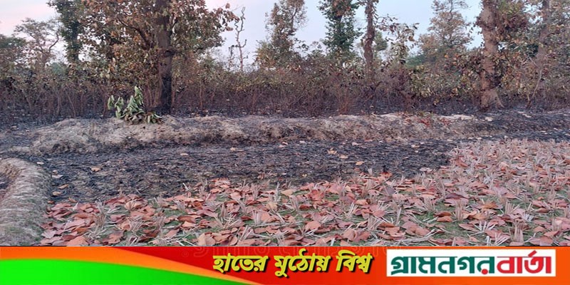 কার দেয়া আগুনে পুড়ছে শ্রীপুরে ভাওয়ালের গজারিবন জানেনা কর্মকর্তা কার দেয়া আগুনে পুড়ছে শ্রীপুরে ভাওয়ালের গজারিবন জানেনা কর্মকর্তা