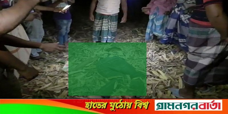 মেহেরপুরে সড়ক দুর্ঘটনায় স্কুলছাত্র নিহত মেহেরপুরে সড়ক দুর্ঘটনায় স্কুলছাত্র নিহত