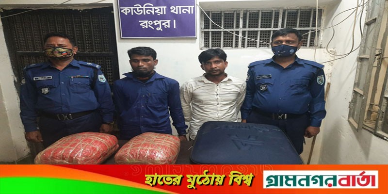 কাউনিয়ায় সাড়ে ১২ কেজি গাঁজাসহ দুজন গ্রেফতার কাউনিয়ায় সাড়ে ১২ কেজি গাঁজাসহ দুজন গ্রেফতার