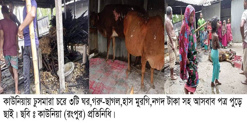 কাউনিয়ায় ঢুসমারা চরে অগ্নিকান্ডে গরু-ছাগলসহ ৩টি ঘর পুড়ে ছাই কাউনিয়ায় ঢুসমারা চরে অগ্নিকান্ডে গরু-ছাগলসহ ৩টি ঘর পুড়ে ছাই