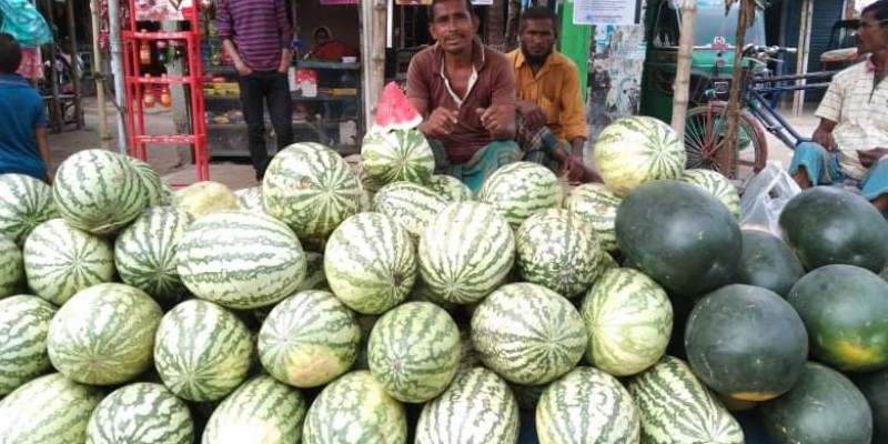 শিবগঞ্জে আকাশছোঁয়া মৌসুমী ফল তরমুজের দাম শিবগঞ্জে আকাশছোঁয়া মৌসুমী ফল তরমুজের দাম