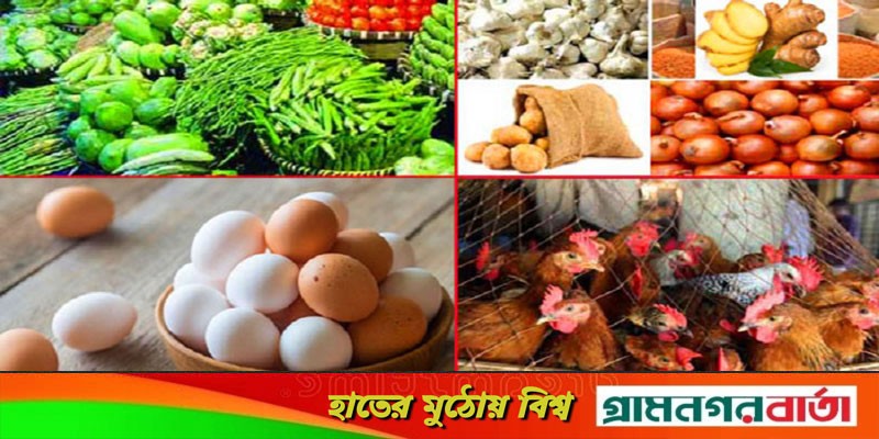কমেছে ডিম-মুরগির দাম, বাড়তি শসা-বেগুনের কমেছে ডিম-মুরগির দাম, বাড়তি শসা-বেগুনের