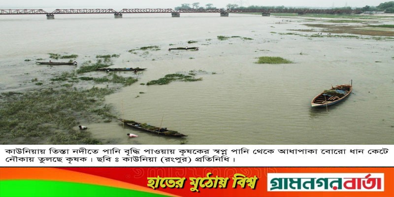 কাউনিয়ায় তিস্তা নদীর পানি বৃদ্ধিতে ভেসে গেল কৃষকের স্বপ্ন কাউনিয়ায় তিস্তা নদীর পানি বৃদ্ধিতে ভেসে গেল কৃষকের স্বপ্ন