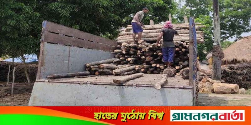 পাচারকালে সুন্দরবনের বিক্রি নিষিদ্ধ গেওয়া কাঠ উদ্ধার পাচারকালে সুন্দরবনের বিক্রি নিষিদ্ধ গেওয়া কাঠ উদ্ধার