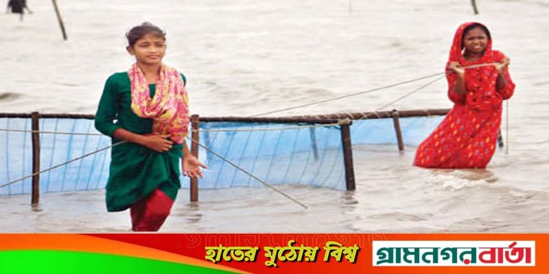 সুন্দরবনে চিংড়ির জালে মারা পড়ছে অন্যান্য মাছের পোনা সুন্দরবনে চিংড়ির জালে মারা পড়ছে অন্যান্য মাছের পোনা
