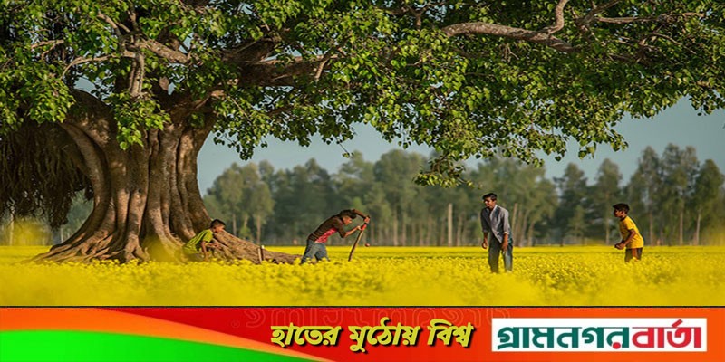 এবার উইজডেনের সেরা দশে বাংলাদেশের দুই ছবি এবার উইজডেনের সেরা দশে বাংলাদেশের দুই ছবি