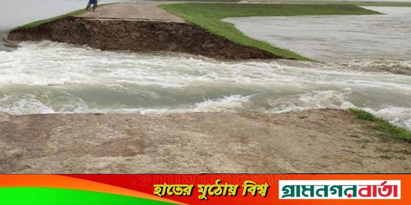 বাঁধ ভেঙেছে ছায়ার হাওরে, কৃষকের কান্নায় ভারী চারপাশ বাঁধ ভেঙেছে ছায়ার হাওরে, কৃষকের কান্নায় ভারী চারপাশ